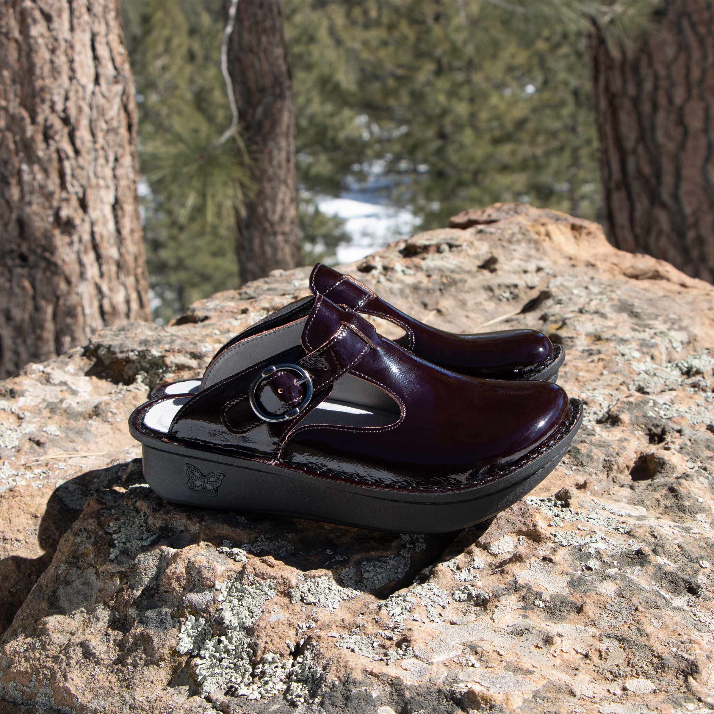 Classic Black Cherry Shoe